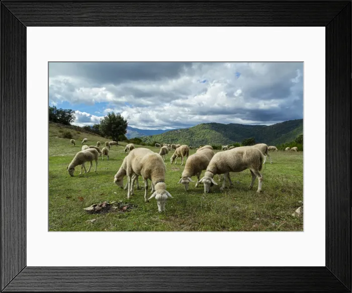 Framed Print : The National Park Of Cevennes, Languedoc Roussillon, France