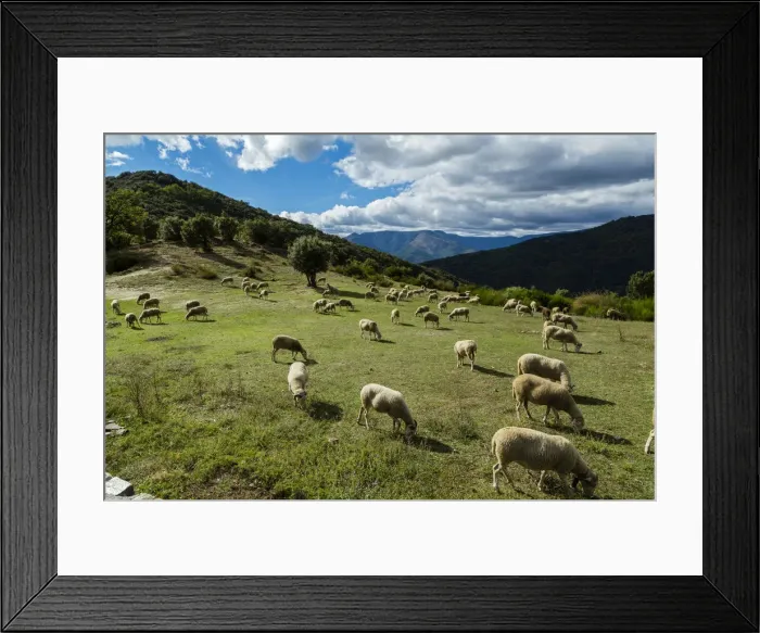 Framed Print : The National Park Of Cevennes, Languedoc Roussillon, France Framed Print : The National Park Of Cevennes, Languedoc Roussillon, France