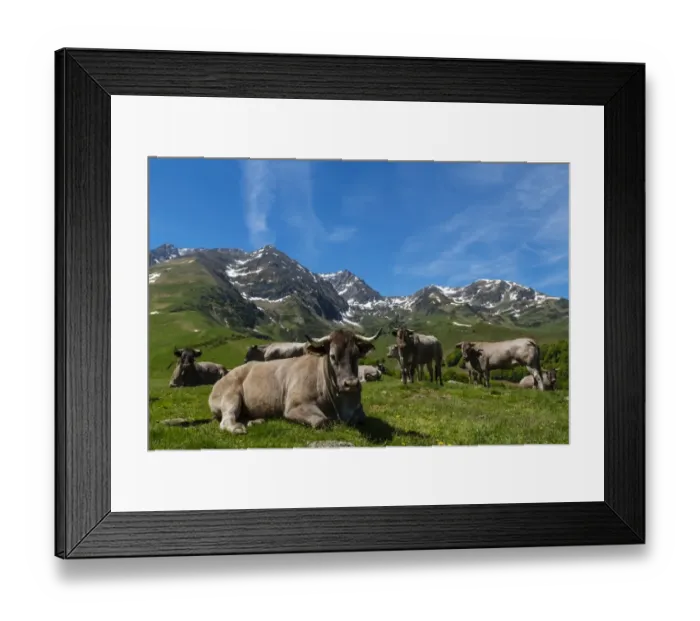 Framed Print : Col de Hourquette d Ancizan, national park of Pyrenees, Hautes Pyrenees, France Framed Print : Col de Hourquette d Ancizan, national park of Pyrenees, Hautes Pyrenees, France