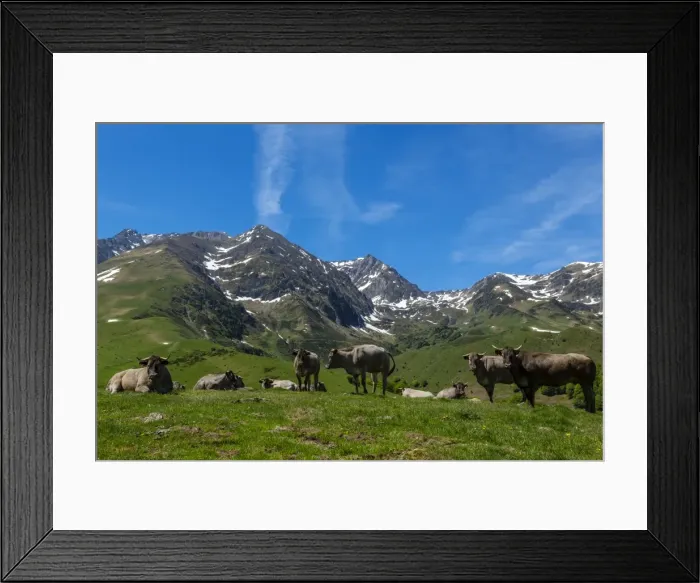 Framed Print : Col de Hourquette d Ancizan, national park of Pyrenees, Hautes Pyrenees, France