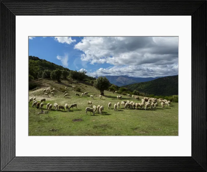 Framed Print : The National Park Of Cevennes, Languedoc Roussillon, France Framed Print : The National Park Of Cevennes, Languedoc Roussillon, France