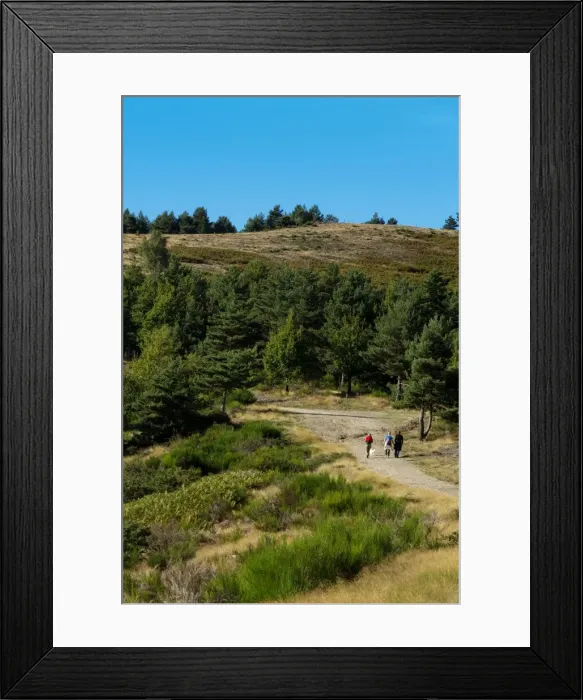 Framed Print : Plan de Fontmort, Valle Francaise, The National Park Of Cevennes, Languedoc Roussillon, France Framed Print : Plan de Fontmort, Valle Francaise, The National Park Of Cevennes, Languedoc Roussillon, France