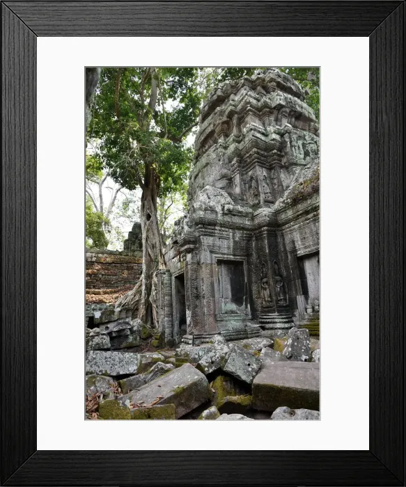 Framed Print : Ta Prohm temple trees entwine Angkor Cambodia Framed Print : Ta Prohm temple trees entwine Angkor Cambodia