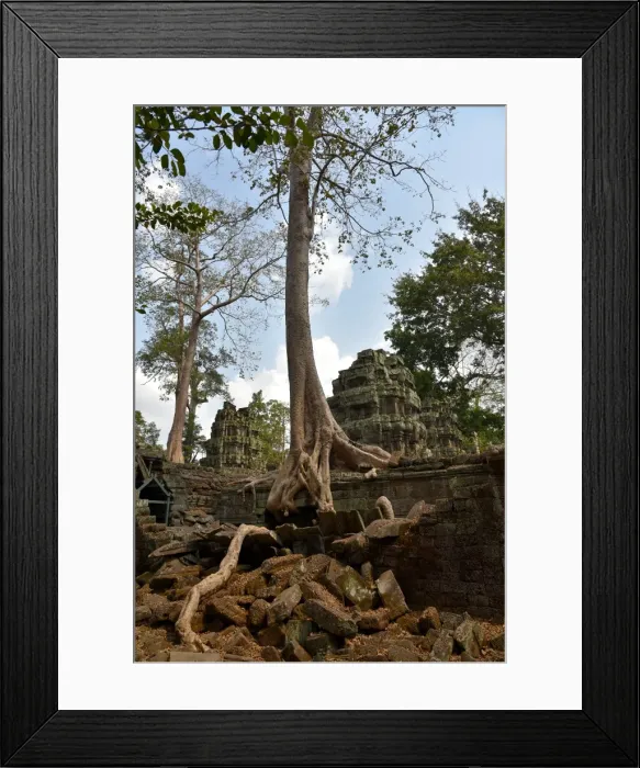 Framed Print : Trees at Ta Prohm temple Angkor Cambodia Framed Print : Trees at Ta Prohm temple Angkor Cambodia