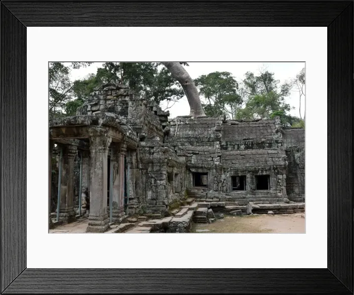 Framed Print : Ta Prohm temple Angkor Cambodia Framed Print : Ta Prohm temple Angkor Cambodia