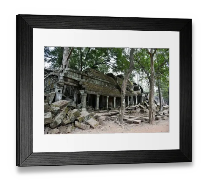 Framed Print : Ta Prohm Angkor temple Siem Reap Cambodia Framed Print : Ta Prohm Angkor temple Siem Reap Cambodia