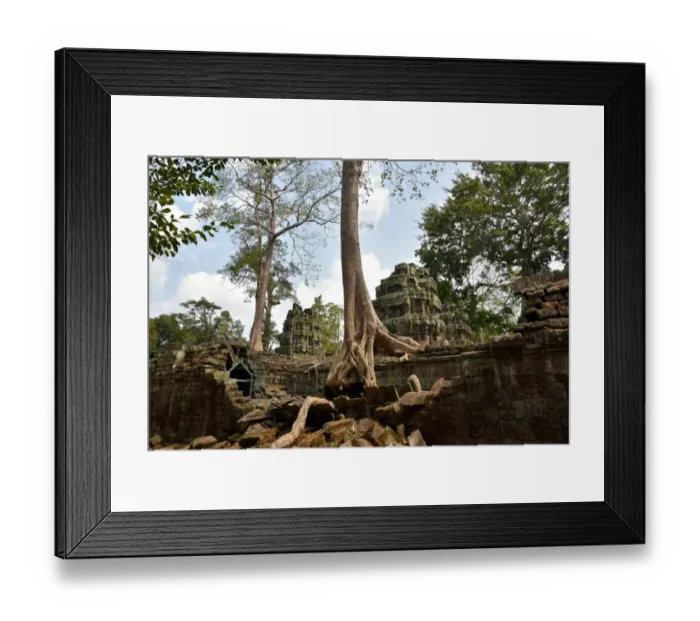 Framed Print : Ta Prohm temple Angkor Cambodia