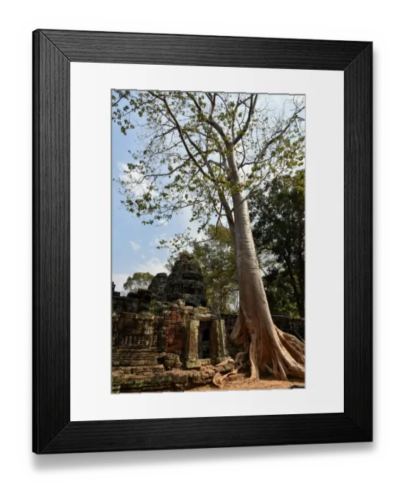 Framed Print : Banteay Kdei temple Angkor Cambodia Framed Print : Banteay Kdei temple Angkor Cambodia