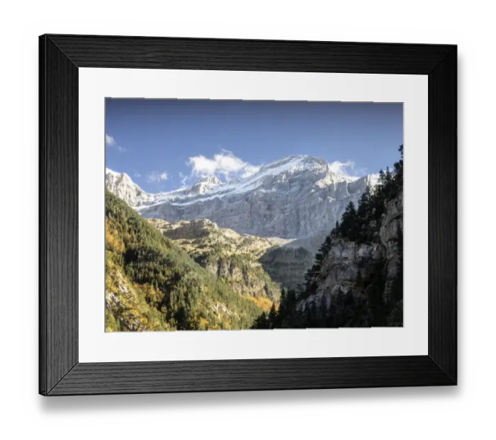 Framed Print : Tree of leaf expires in autumn in a valley with rocky covered with snow mountains with a blue sky