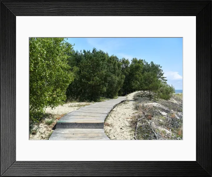 Framed Print : Curonian spit Framed Print : Curonian spit