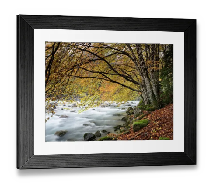 Framed Print : Great river of mountain crossing a forest of beeches in autumn Framed Print : Great river of mountain crossing a forest of beeches in autumn