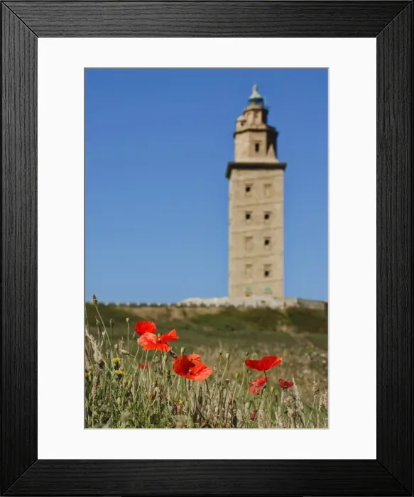 Framed Print : Tower of Hercules with poppies in foreground, A CoruAna (Galicia, Spain) Framed Print : Tower of Hercules with poppies in foreground, A CoruAna (Galicia, Spain)