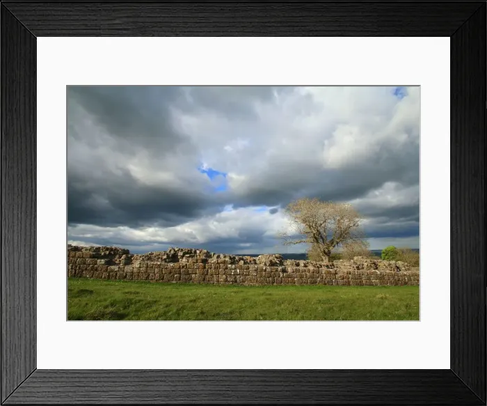 Framed Print : Hadrians wall in England, near Black carts turret Framed Print : Hadrians wall in England, near Black carts turret