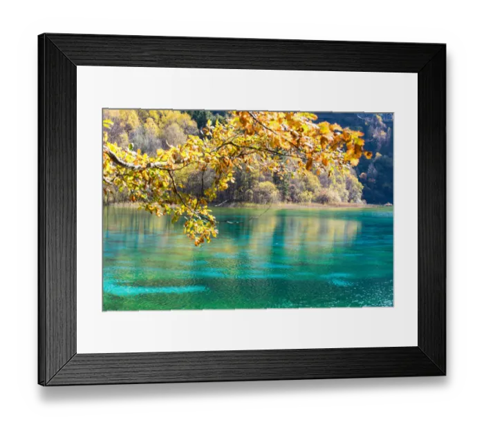 Framed Print : China Tourism Scenic Area - Jiuzhaigou Framed Print : China Tourism Scenic Area - Jiuzhaigou