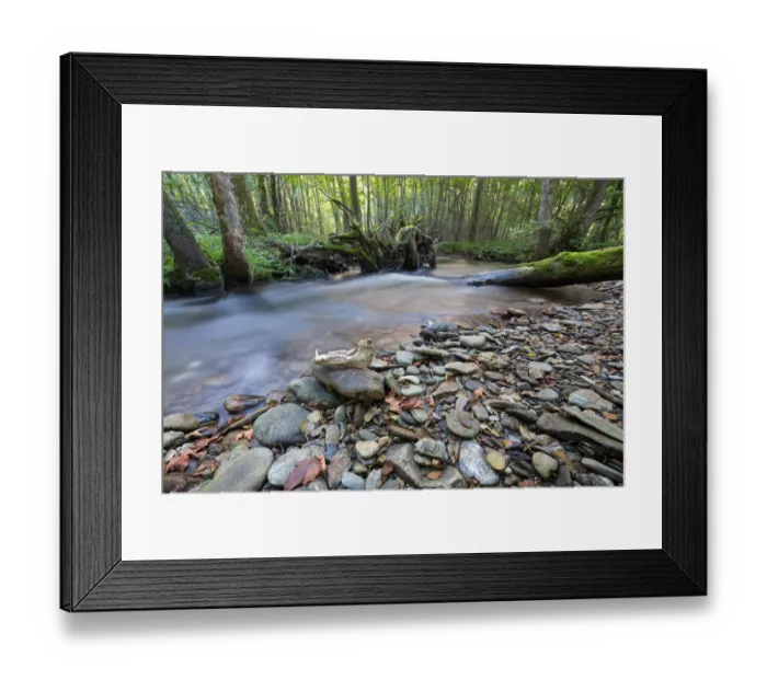 Framed Print : Riparian forest (woodland), river shore, long exposure