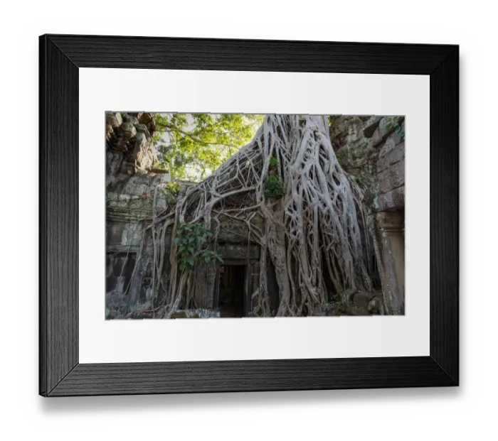 Framed Print : Doorway at Ta Prohm Temple, Rajaviharain or Jungle Temple, Angkor, Siem Reap, Cambodia Framed Print : Doorway at Ta Prohm Temple, Rajaviharain or Jungle Temple, Angkor, Siem Reap, Cambodia