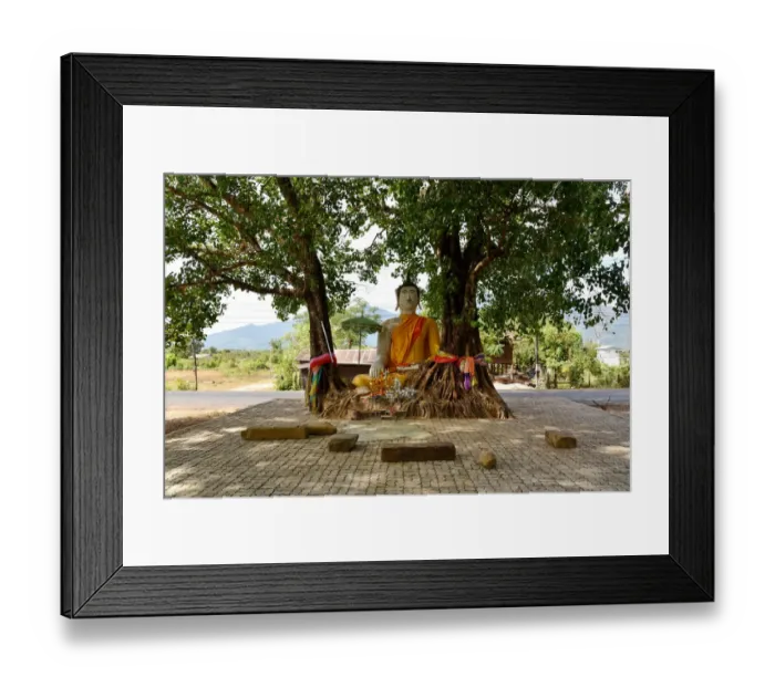 Framed Print : tree buddha along Vat Phou champasak Lao, Asia Framed Print : tree buddha along Vat Phou champasak Lao, Asia