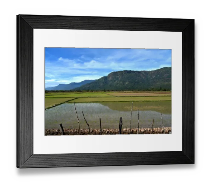 Framed Print : Irrigated Paddy field Champasak Laos