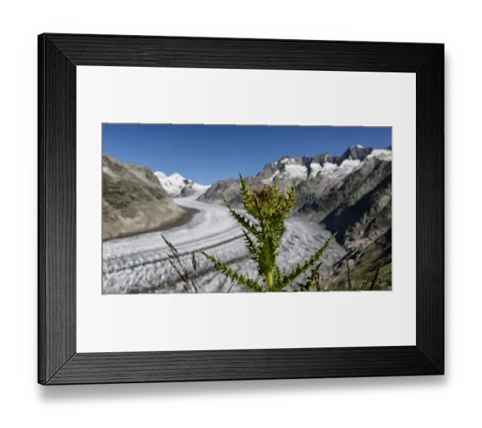 Framed Print : Aletsch glacier, Valais, Switzerland Framed Print : Aletsch glacier, Valais, Switzerland