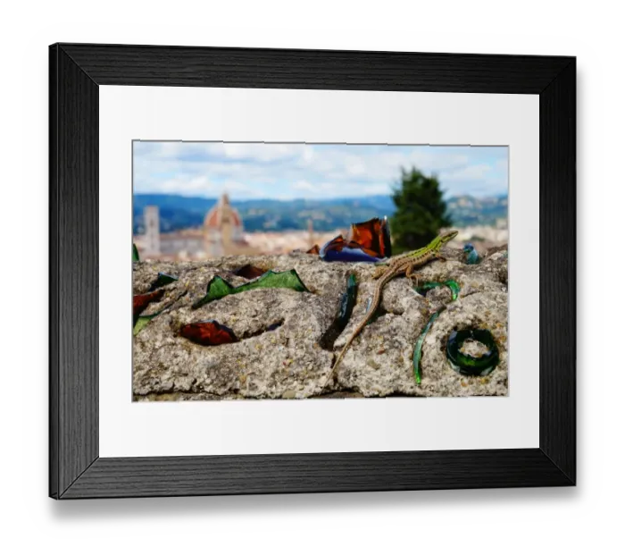 Framed Print : Lizard on the Wall, Old Florence in the background, Italy Framed Print : Lizard on the Wall, Old Florence in the background, Italy