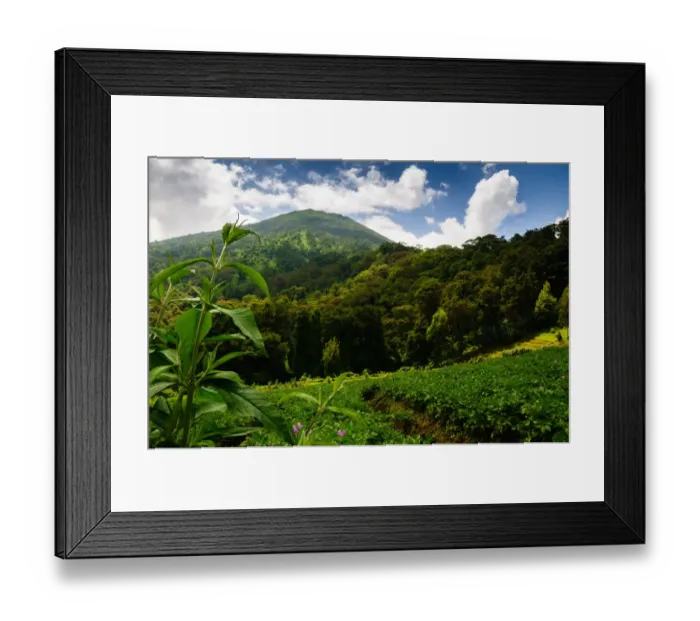 Framed Print : Mt. Bisoke