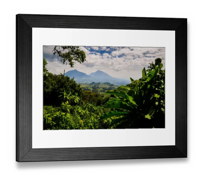 Framed Print : Looking Back at Ruhengeri from Volcanoes National Park Framed Print : Looking Back at Ruhengeri from Volcanoes National Park
