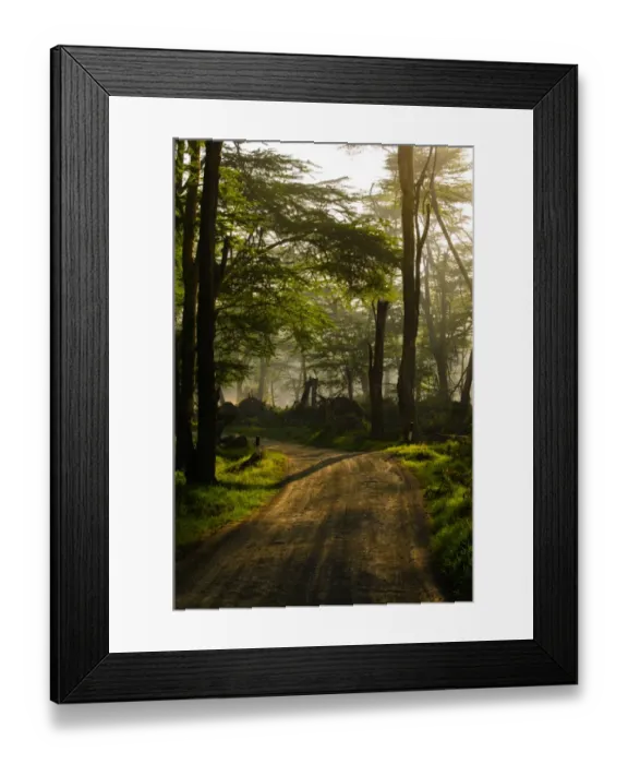 Framed Print : Fever Forests Framed Print : Fever Forests