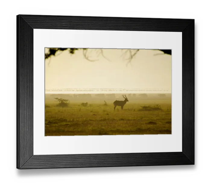 Framed Print : Bushbuck, Cape Buffalo and Flamingos in Silhouette Framed Print : Bushbuck, Cape Buffalo and Flamingos in Silhouette