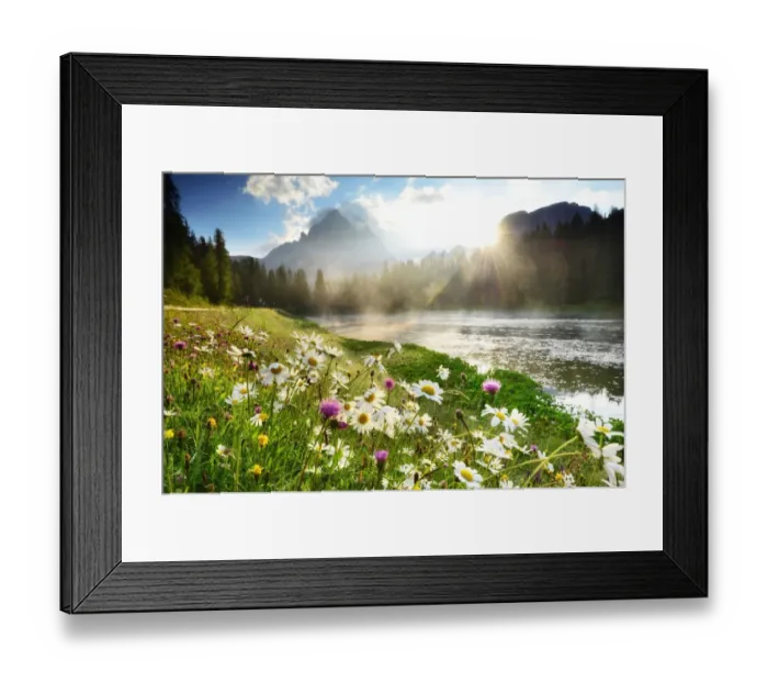 Framed Print : Flowers near Lago di Antorno, Dolomites Framed Print : Flowers near Lago di Antorno, Dolomites