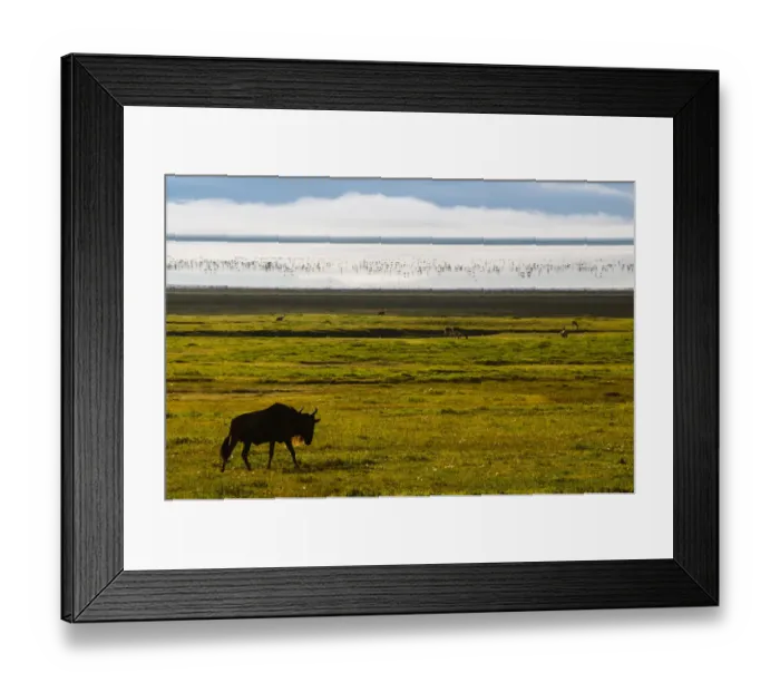 Framed Print : Wildebeest In Front of Lake Magadi Framed Print : Wildebeest In Front of Lake Magadi