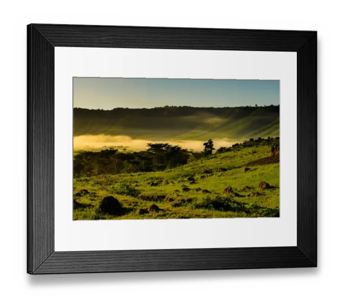 Framed Print : Early Morning Mist