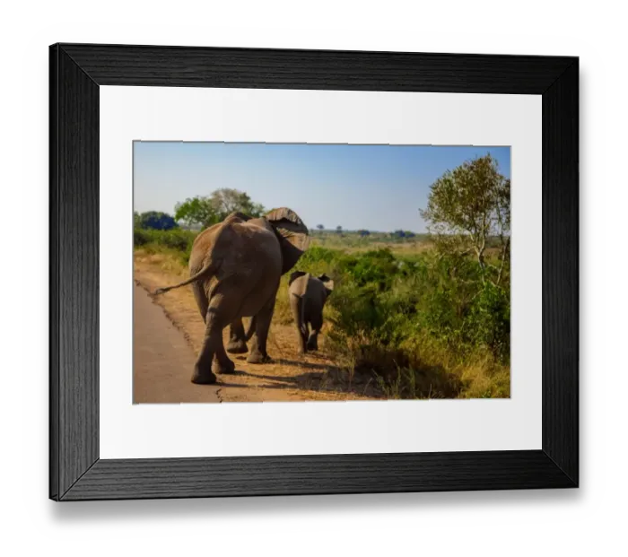 Framed Print : A Mother Elephant Walking Along With Her Calf, Kruger National Park, South Africa