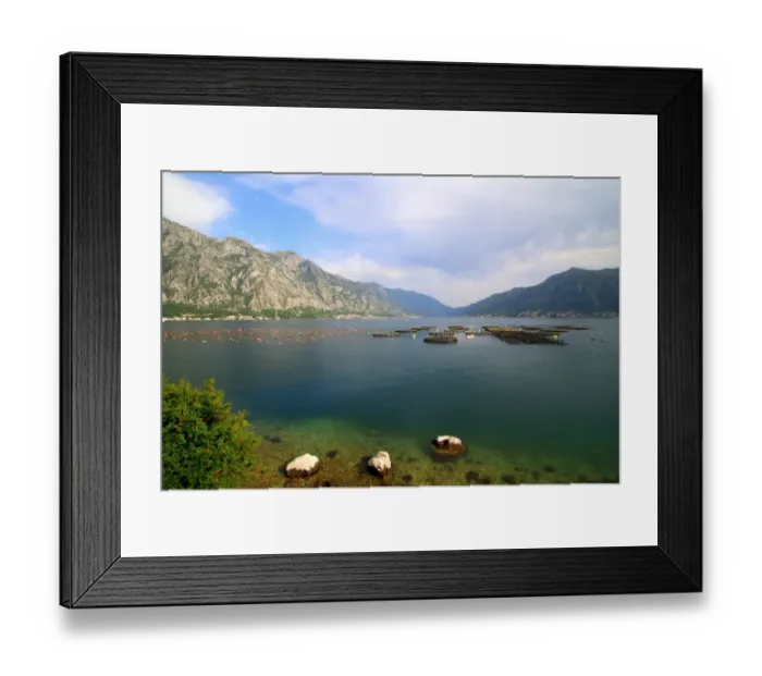 Framed Print : Aquaculture in the bay of Kotor, Montenegro Framed Print : Aquaculture in the bay of Kotor, Montenegro