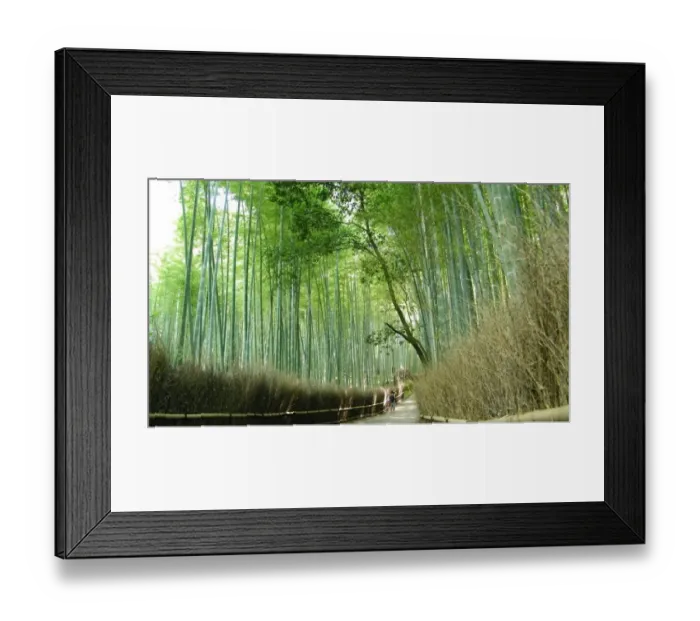 Framed Print : Arashiyama bamboo forest Framed Print : Arashiyama bamboo forest