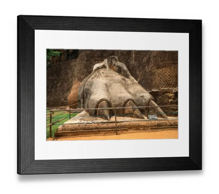Framed Print : The Sigiriya Lion rock fortress in Sigiriya, Sri Lanka. Sigiriya is listed as UNESCO World Heritage Site Framed Print : The Sigiriya Lion rock fortress in Sigiriya, Sri Lanka. Sigiriya is listed as UNESCO World Heritage Site