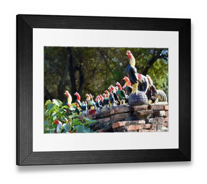 Framed Print : Fighting cocks statues Wat Phukhao Thong temple Ayutthaya Thailand Framed Print : Fighting cocks statues Wat Phukhao Thong temple Ayutthaya Thailand