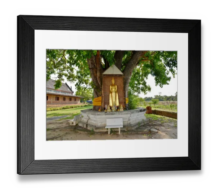 Framed Print : Standing Buddha statue Wat Phukhao Thong temple Ayutthaya Thailand Framed Print : Standing Buddha statue Wat Phukhao Thong temple Ayutthaya Thailand