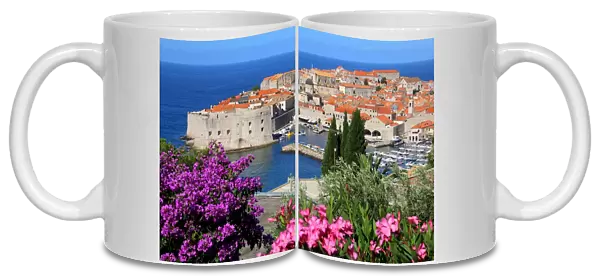 View of Old Town City of Dubrovnik