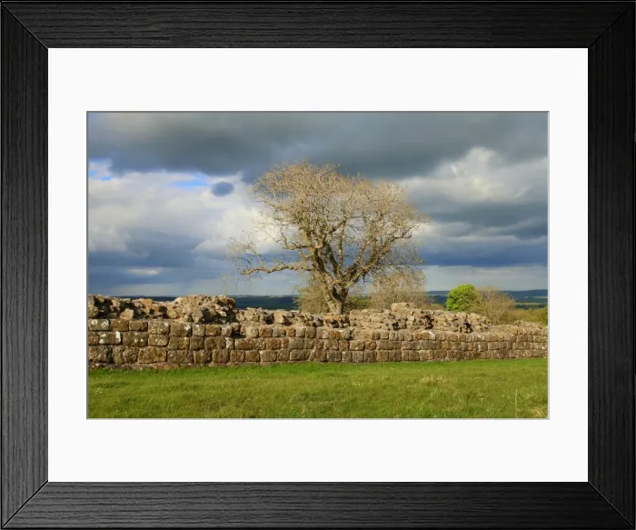 Framed Print : Part of Hadrians wall in England, near Black carts turret Framed Print : Part of Hadrians wall in England, near Black carts turret