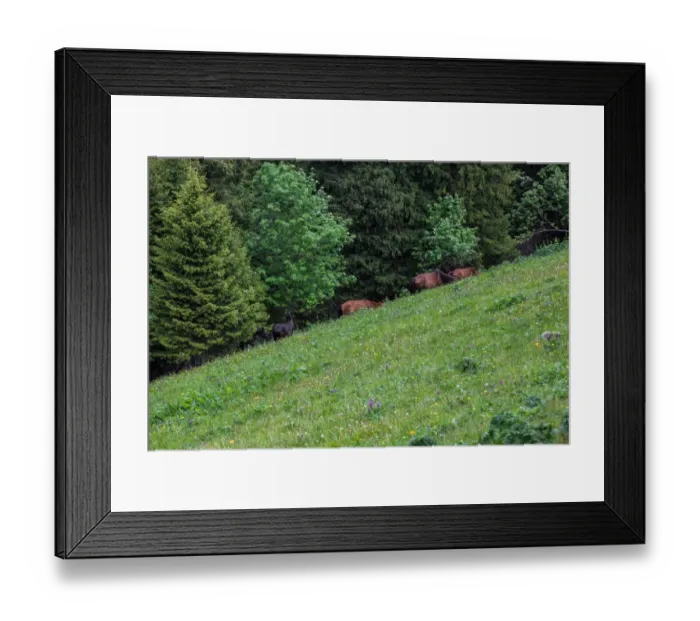 Framed Print : Nalati Grassland, Xinjiang, China Framed Print : Nalati Grassland, Xinjiang, China