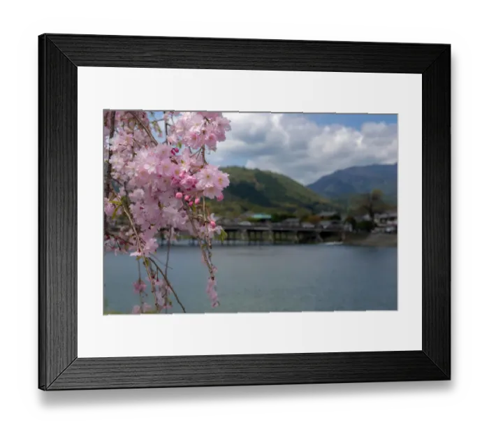 Framed Print : Togetsukyo Bridge Framed Print : Togetsukyo Bridge