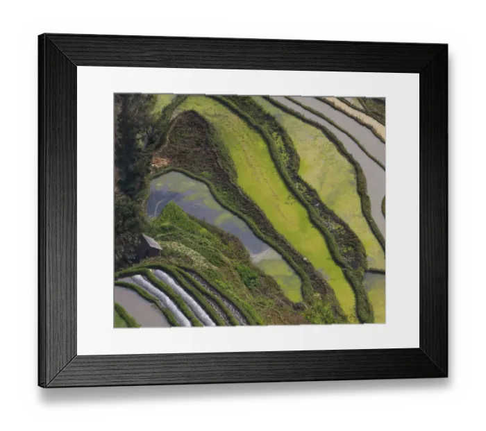 Framed Print : Yuanyang Rice Terraces Framed Print : Yuanyang Rice Terraces