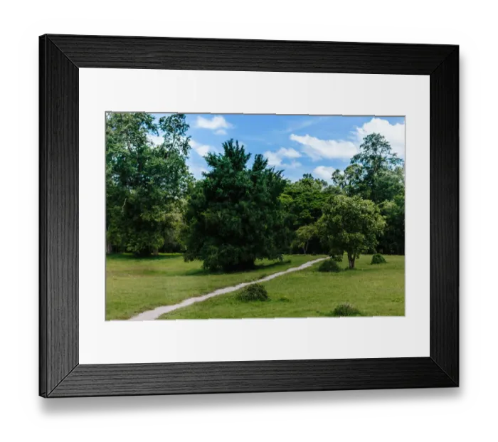 Framed Print : Angkor Wat Framed Print : Angkor Wat