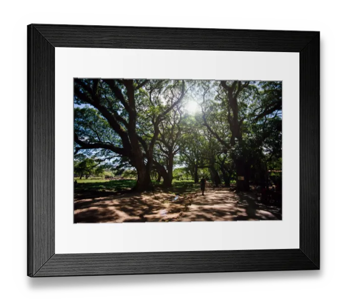 Framed Print : Angkor Wat Framed Print : Angkor Wat