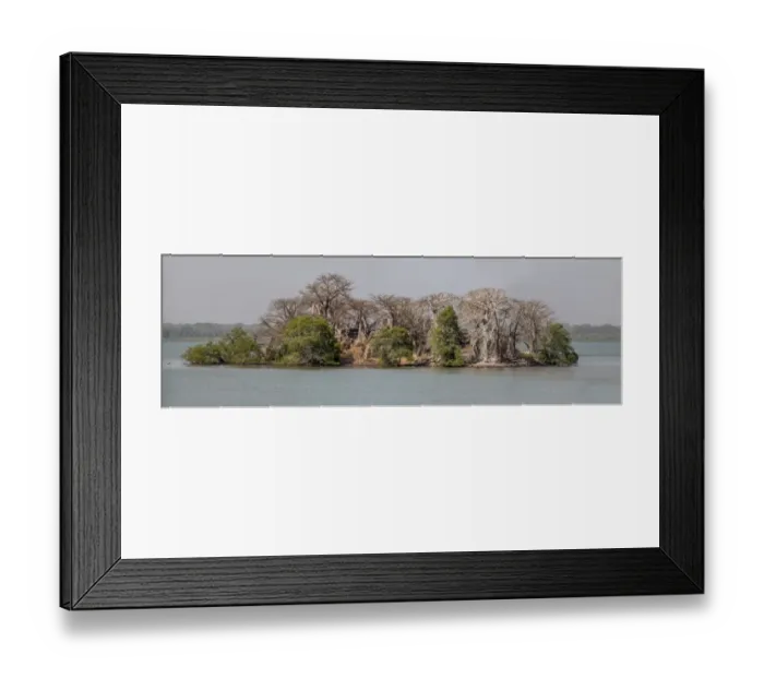 Framed Print : Panorama photo of Kunta Kinte Island, formerly James Island, The Gambia Framed Print : Panorama photo of Kunta Kinte Island, formerly James Island, The Gambia
