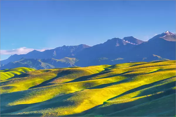 Nalati Grassland, Xinjiang, China