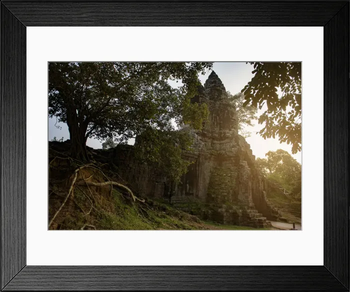 Framed Print : last light at main gate of angkor thom and Ruin wall and root