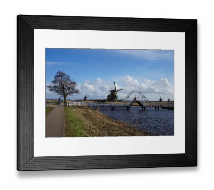Framed Print : Windmills, Bridge, Tree at kinderdijk, the Netherlands Framed Print : Windmills, Bridge, Tree at kinderdijk, the Netherlands