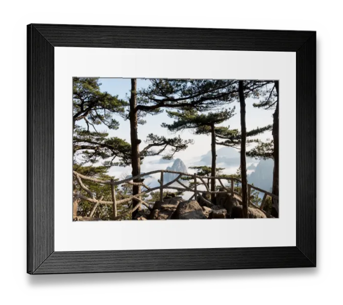 Framed Print : Monkey watch sea cloud, Mt. Huangshan in Anhui, China