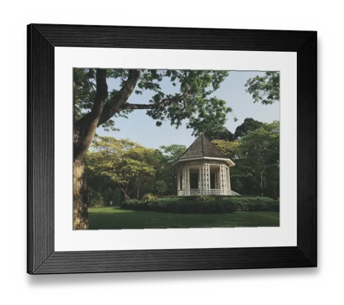 Framed Print : Best of Month Framed Print : Best of Month